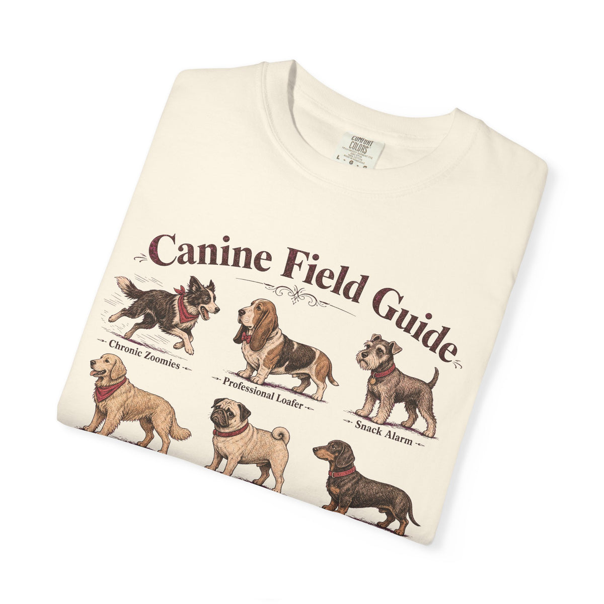 Canine Field Guide T-shirt in Ivory, folded view